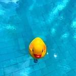 El Nacar Bed & Breakfast