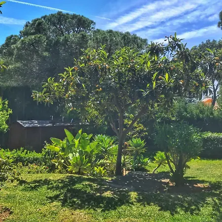 Bed & Breakfast El Nacar *