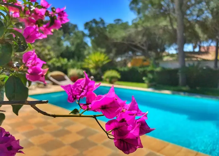 Bed & Breakfast El Nacar