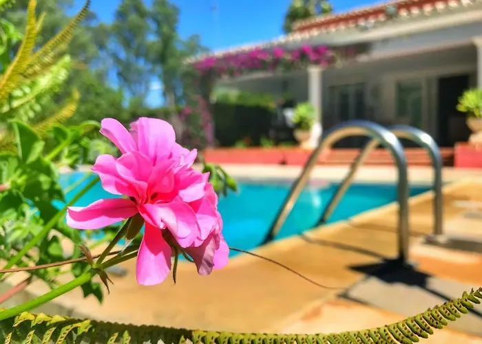 Bed & Breakfast El Nacar Marbella
