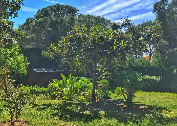 Bed & Breakfast El Nacar 4*