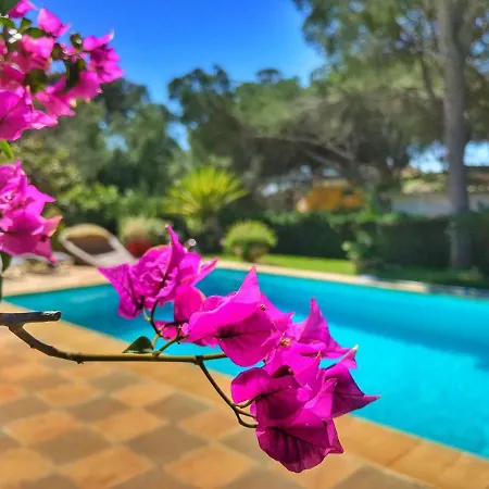 Bed & Breakfast El Nacar