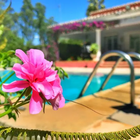 Bed & Breakfast El Nacar Marbella