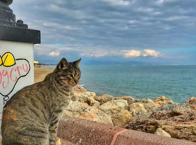 לינה וארוחת בוקר El Nacar 4*