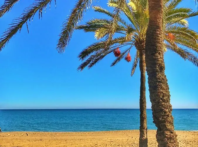 El Nacar ماربيا