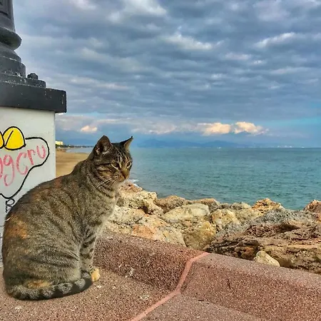 Bed and Breakfast El Nacar 4*